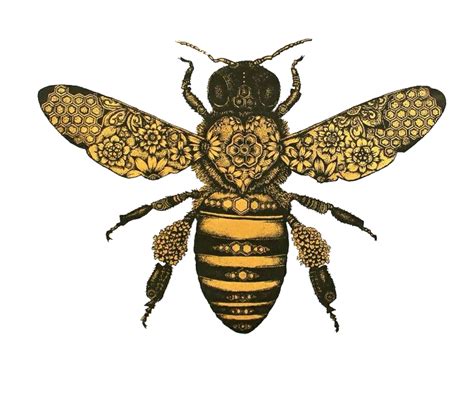 Related image | Honey bee tattoo, Bee drawing, Bee tattoo