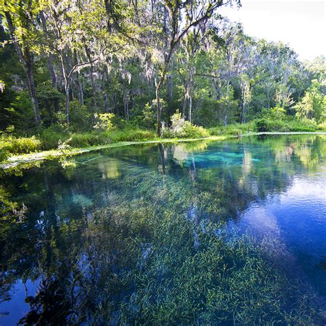 About The Park - Ichetucknee Springs