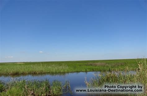 Pecan Island Louisiana travel and tourism information, location, map, history, Forked Island and ...