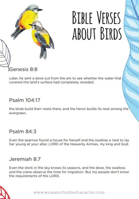 Birds In The Bible A Look At Doves And Sparrows In Scripture