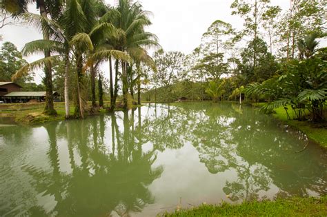 Costa Rica Eco Lodge | Info About Chachagua Rainforest Ecolodge