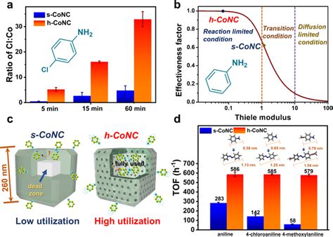 Thiele modulus calculation and oxidative coupling of 4-chloroaniline... | Download Scientific ...