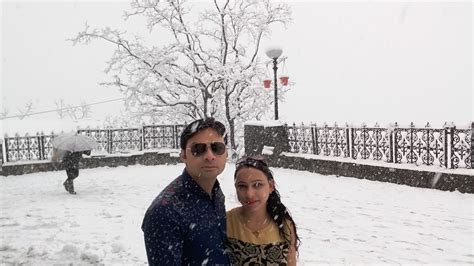 Shimla Live Snowfall Update