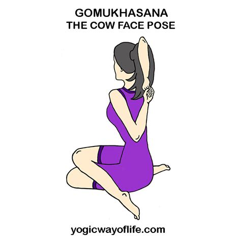 Gomukhasana - The Cow Face Pose