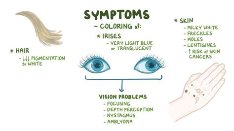 Albinism: Video, Anatomy, Definition & Function | Osmosis