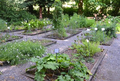 Medicinal Herb Garden | In Our Nature