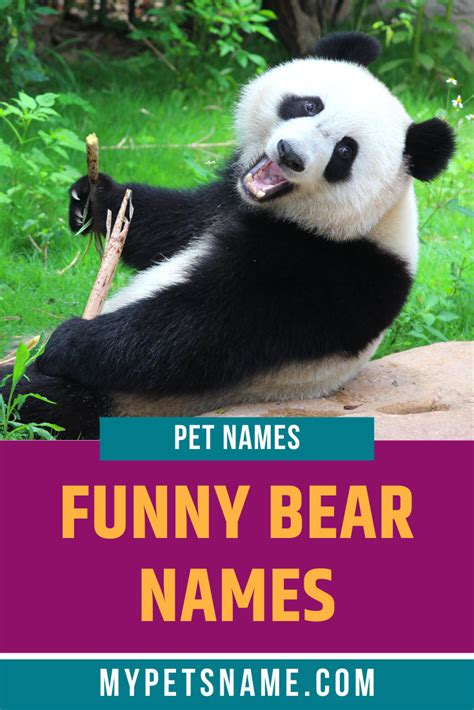 If your pet has a hilarious and fun-loving personality, a funny name is ...