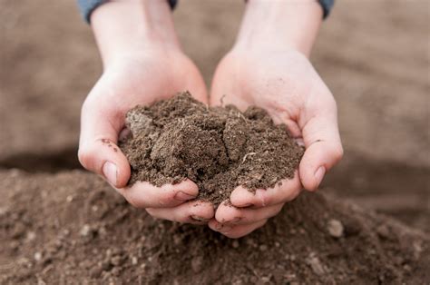 Home Soil Testing: Using The Soil Test Report - Alabama Cooperative Extension System