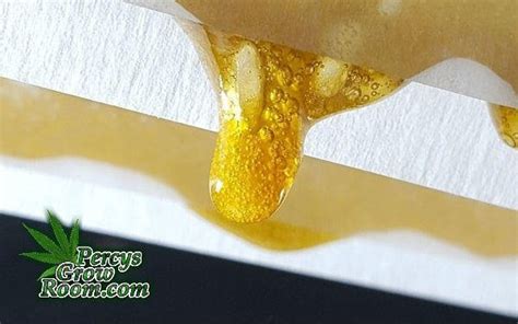 How to Make Rosin Easily at Home - Percys Grow Room