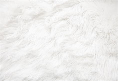 White fur texture 4470256 Stock Photo at Vecteezy