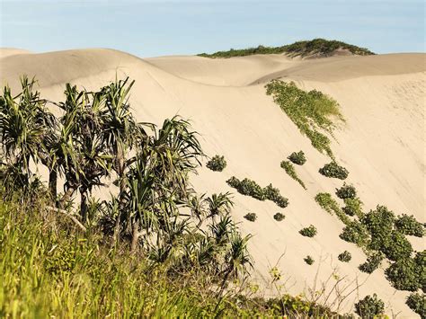 Sigatoka Sand Dunes National Park | Mustseespots.com