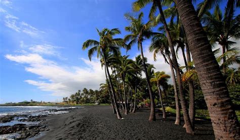 Punalu'u Black Sand Beach in Big Island - Hawaiian Planner