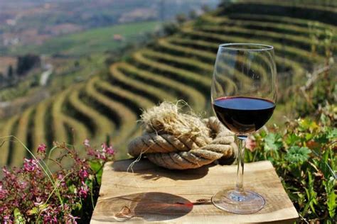 Porto: Douro Valley Wine Tour with Lunch | GetYourGuide