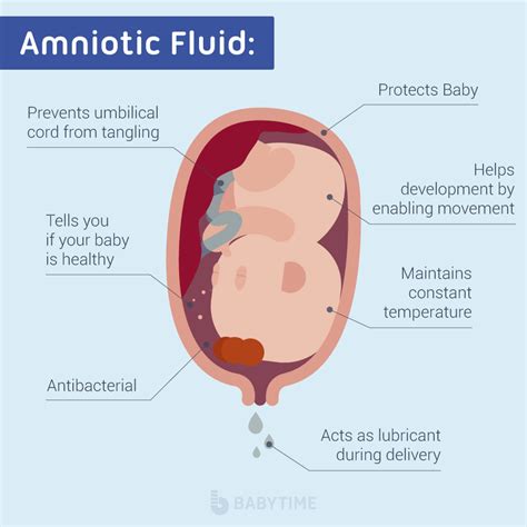 Signs of leaking amniotic fluid vs discharge - intelseka