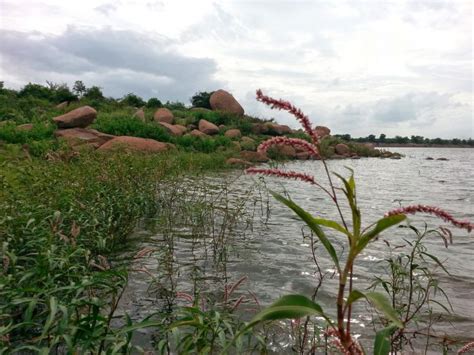 India’s first Biodiversity Heritage Site: Ameenpur Lake – Atomic Circle