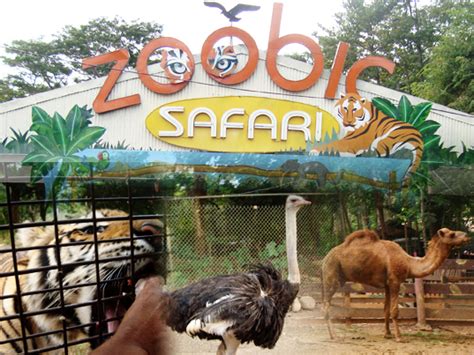 Zoobic Safari "Wild Adventure" - Subic Bay Freeport Zone | WW Blog