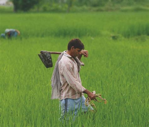 Rethinking Traditional Indian Farming Approaches