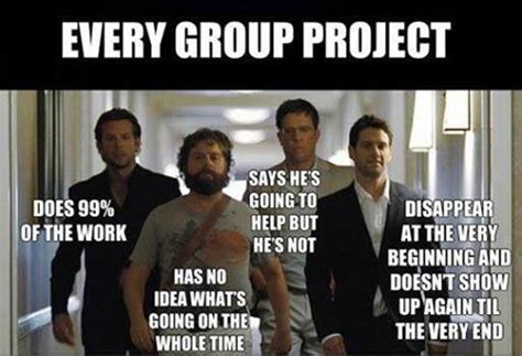 The make-up of every group project ever. | School memes, Funny quotes, Teacher memes