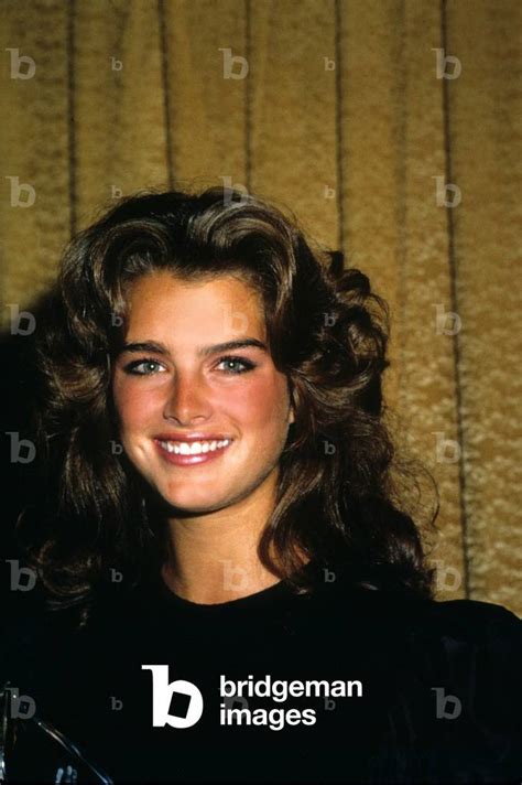 Image of American Actress Brooke Shields in 1983 (photo)