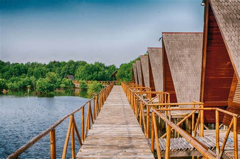 Mangrove Forest Tourism in Indonesia Could Be Your Vacation Destination