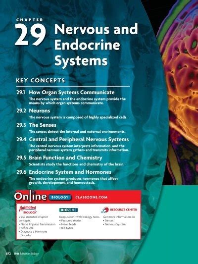 Nervous and Endocrine Systems