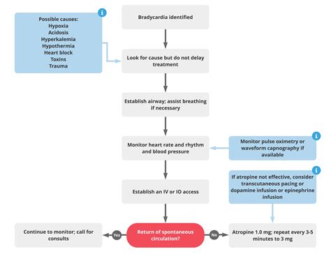 Atropine Dose for Bradycardia | ACLS Guidelines