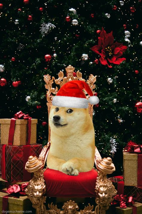 Christmas Doge 🎅 | Christmas memes, Christmas dogs funny, Christmas themes