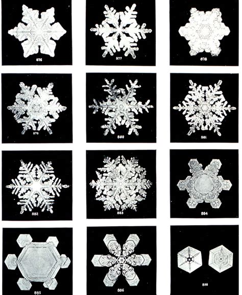 How Do Snowflakes Form? -- Why is Every Snowflake Different?