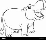 Hippo Coloring Pages Animals Hippopotamus sketch template