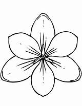 Magnolia Coloring Page  Free Printable Coloring Pages sketch template