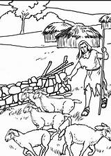 Coloring Page Shepherd  free printable coloring Pages Img 11082 sketch template