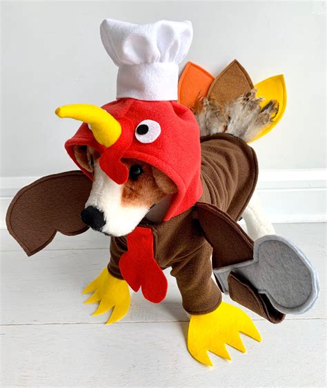 Turkey Costume Turkey Dog Costume Dog Thanksgiving Costume - Etsy