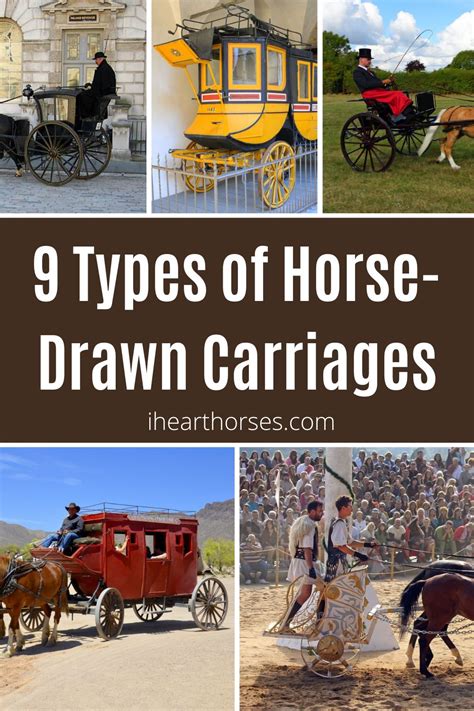 9 Types of Horse-Drawn Carriages (with Images)