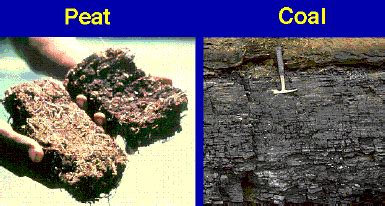 Coal Types, Formation and Methods of Mining - epcamr.org