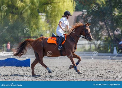 Young Horse Rider Girl Galloping on Her Course Stock Image - Image of jockey, chestnut: 127662557