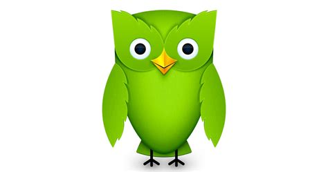 Meet The Duolingo Owl - The Bird That Changed Language Learning - duoplanet