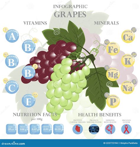 Health Benefits and Nutrition Facts of Grapes Infographic Vector Illustration. Stock Vector ...