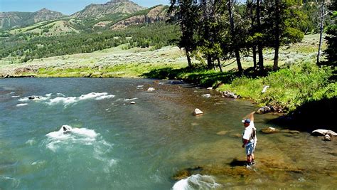 Yellowstone Country Fly Fishing: Guided Fly Fishing in Montana and Yellowstone National Park ...