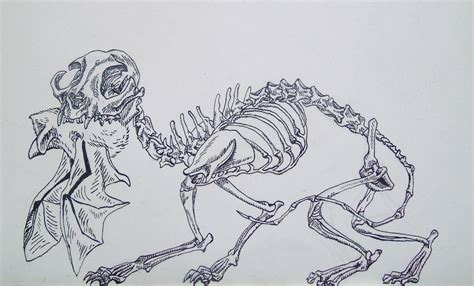 Skeleton Cat impresión de dibujo de lápiz de tinta - Etsy España