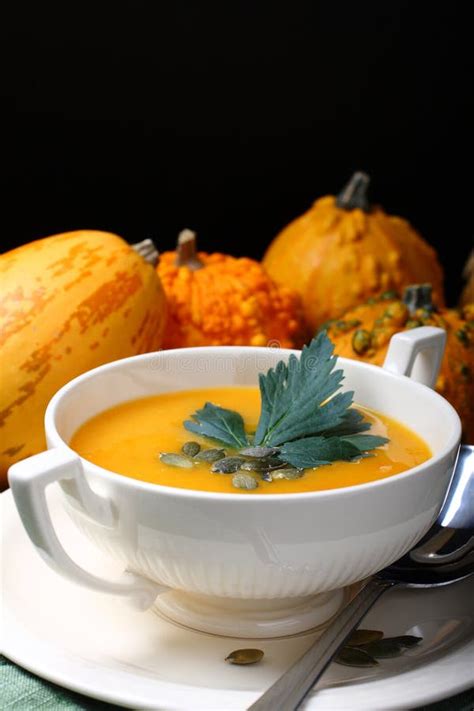 Pumpkin Soup in White Plate with Celery Leaves Stock Photo - Image of meal, delicious: 45332638