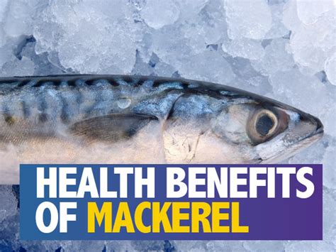 Mackerel: Nutritional Health Benefits, Risks And Recipes - Boldsky.com