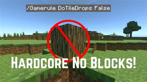 No Blocks Challenge! Minecraft Hardcore! - YouTube