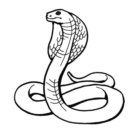 Curled Up Snake Clipart Sketch