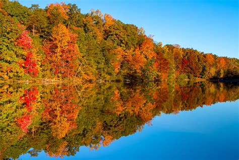 Fall Colors at Country Park, Greensboro, NC USA [OC] [1000x669] : r ...