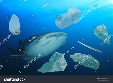 Plastic Ocean Pollution Whale Shark Filter Stock Photo 1348567112 ...