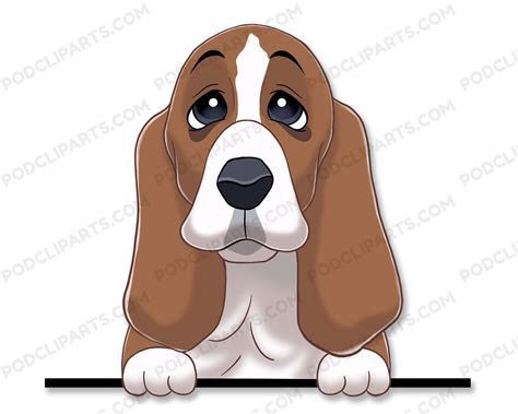 Basset Cartoon Clipart Hound