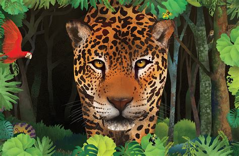 Jungle book illustrations on Behance