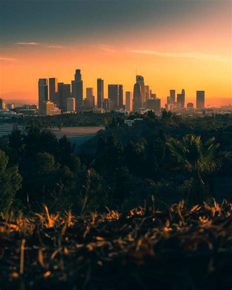 Los Angeles Skyline Stock Photos, Images and Backgrounds for Free Download