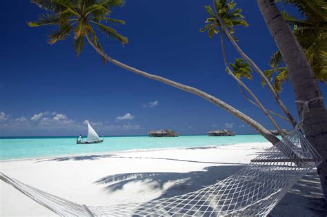 Gili Lankanfushi Resort Maldives - Hammock on the beach - Most ...