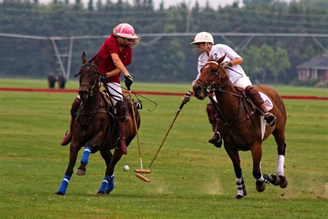 Définition de polo | Dictionnaire français